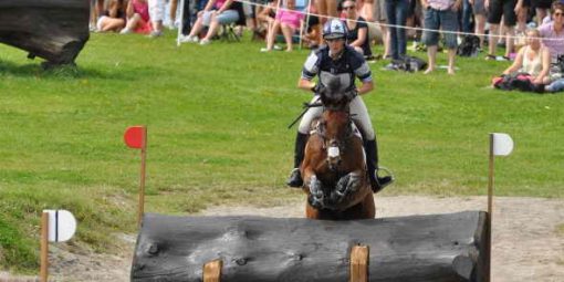 Malmö City Horse Show