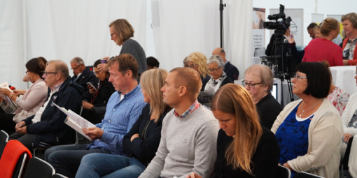 almedalen publik